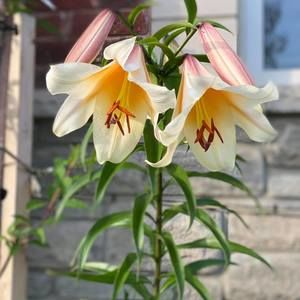 Meet your Posher, Arvind